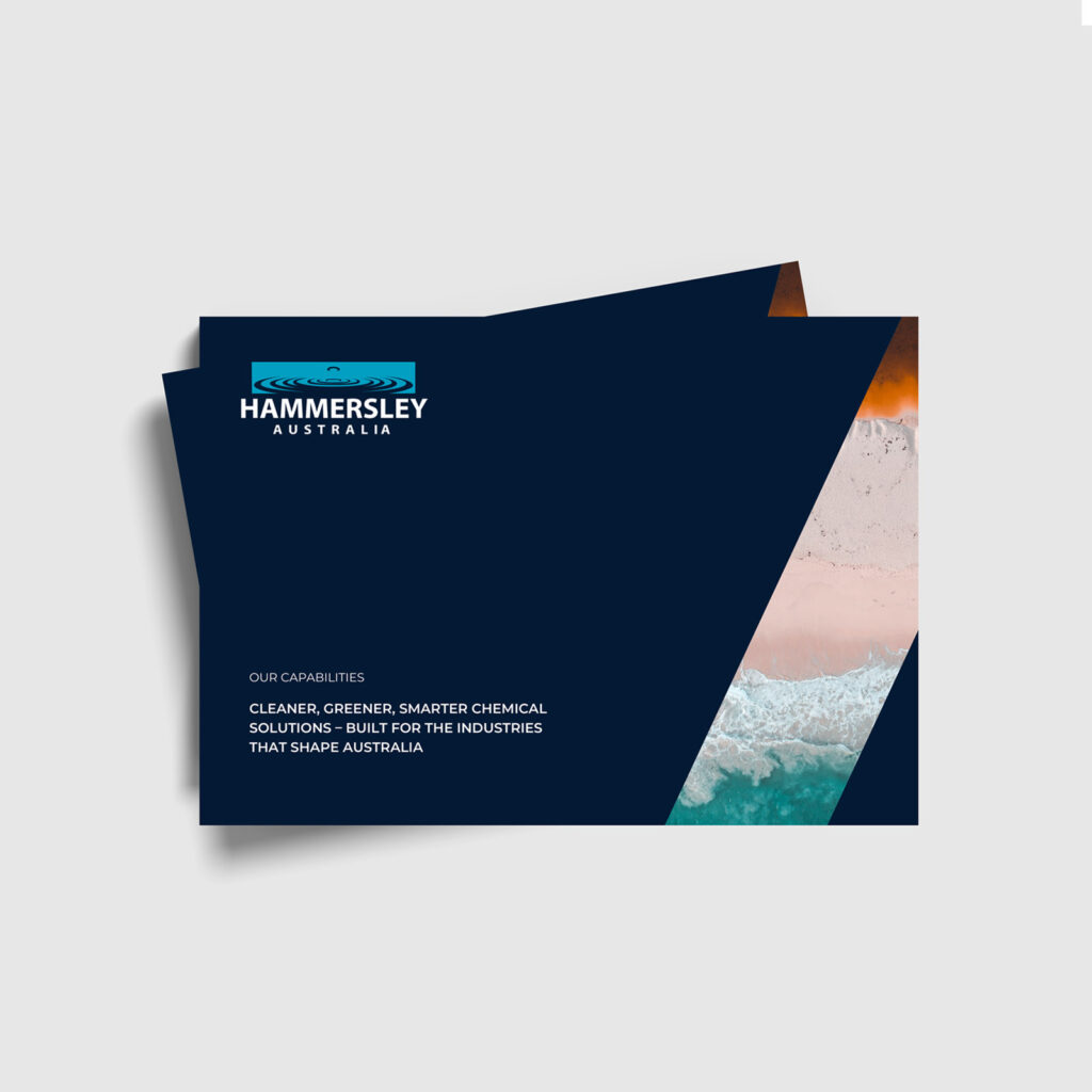 capability-statement